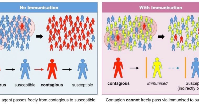Vaccines: an immunological revolution
